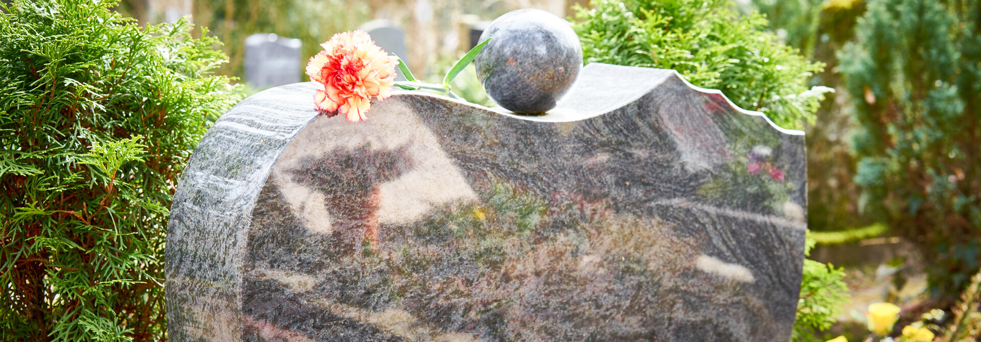 Cimetière de Montambert dans le 58 Loire Morvan