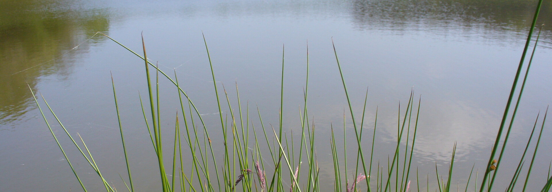 Patrimoine naturel de Montambert dans le 58 Loire Morvan