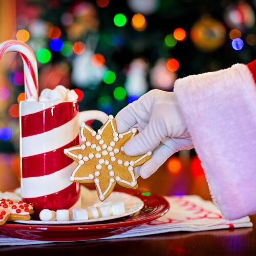 Repas de Noël  des aînés à midi 